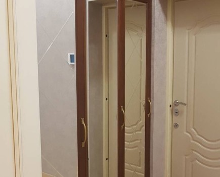 Шкаф купе (арт. 209)